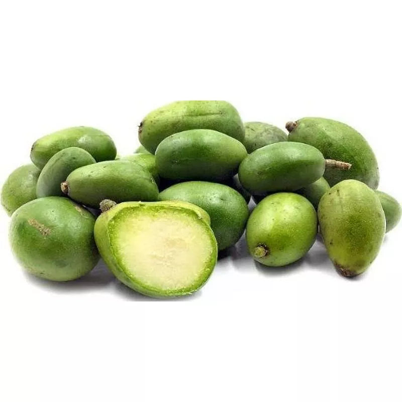 Spondias Dulcis 30 - 50cm
