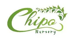 Chipo Nursery