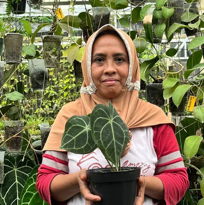 Women working with plants at Chipo Nursery